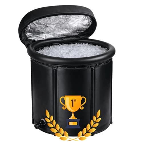 Arctic Revive