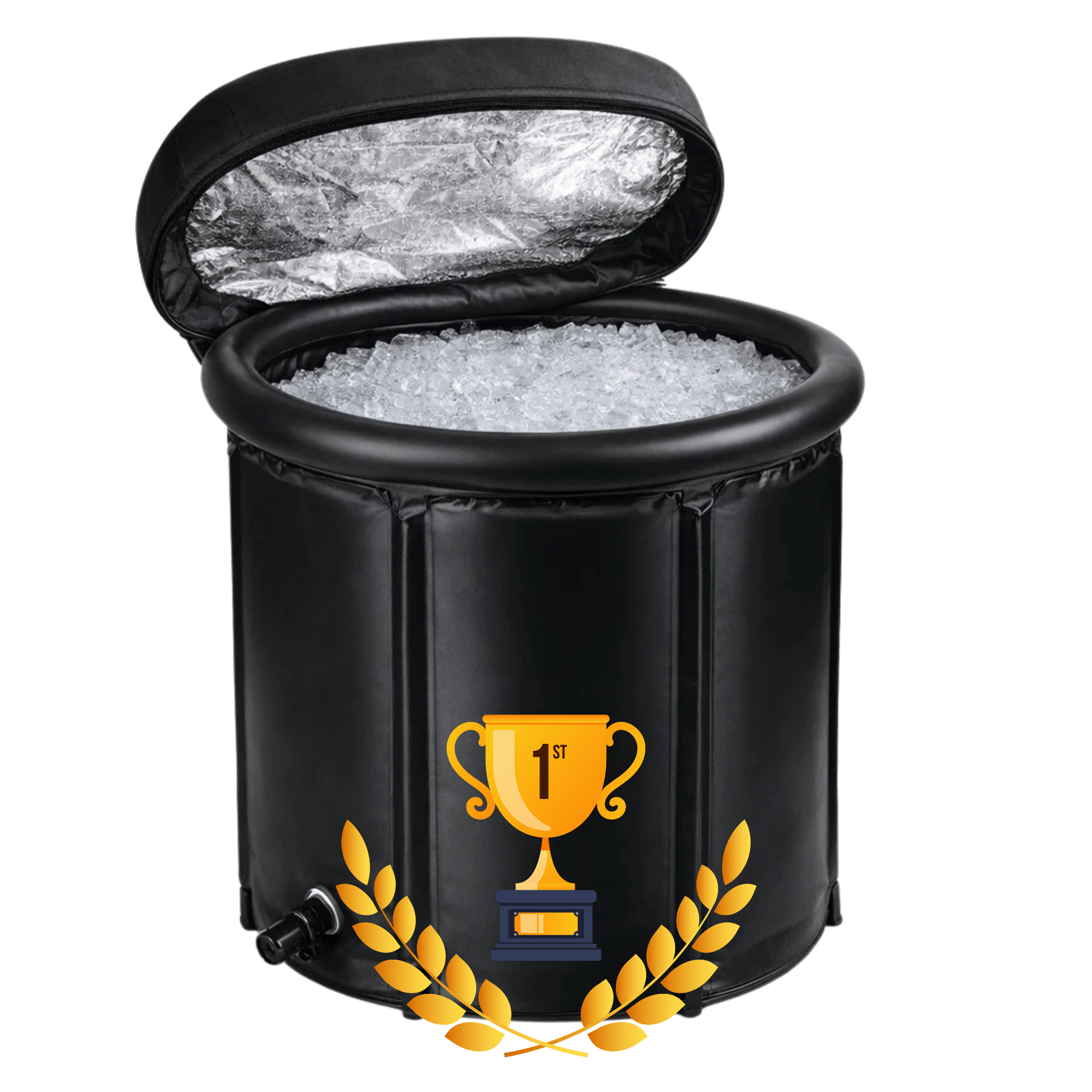 Arctic Revive